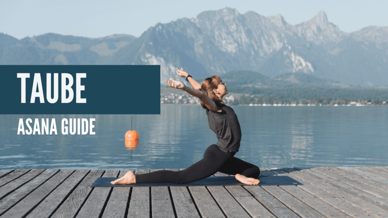 Asana Guide - Taube
