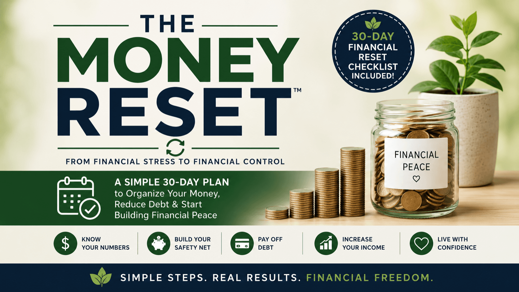 The Money Reset™ 