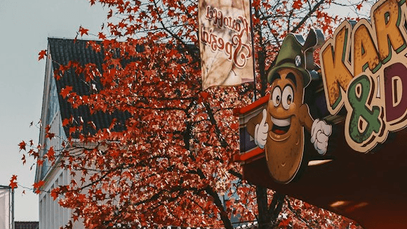 Single Bus Ticket: Pumpkin Patch Fall Fun Day