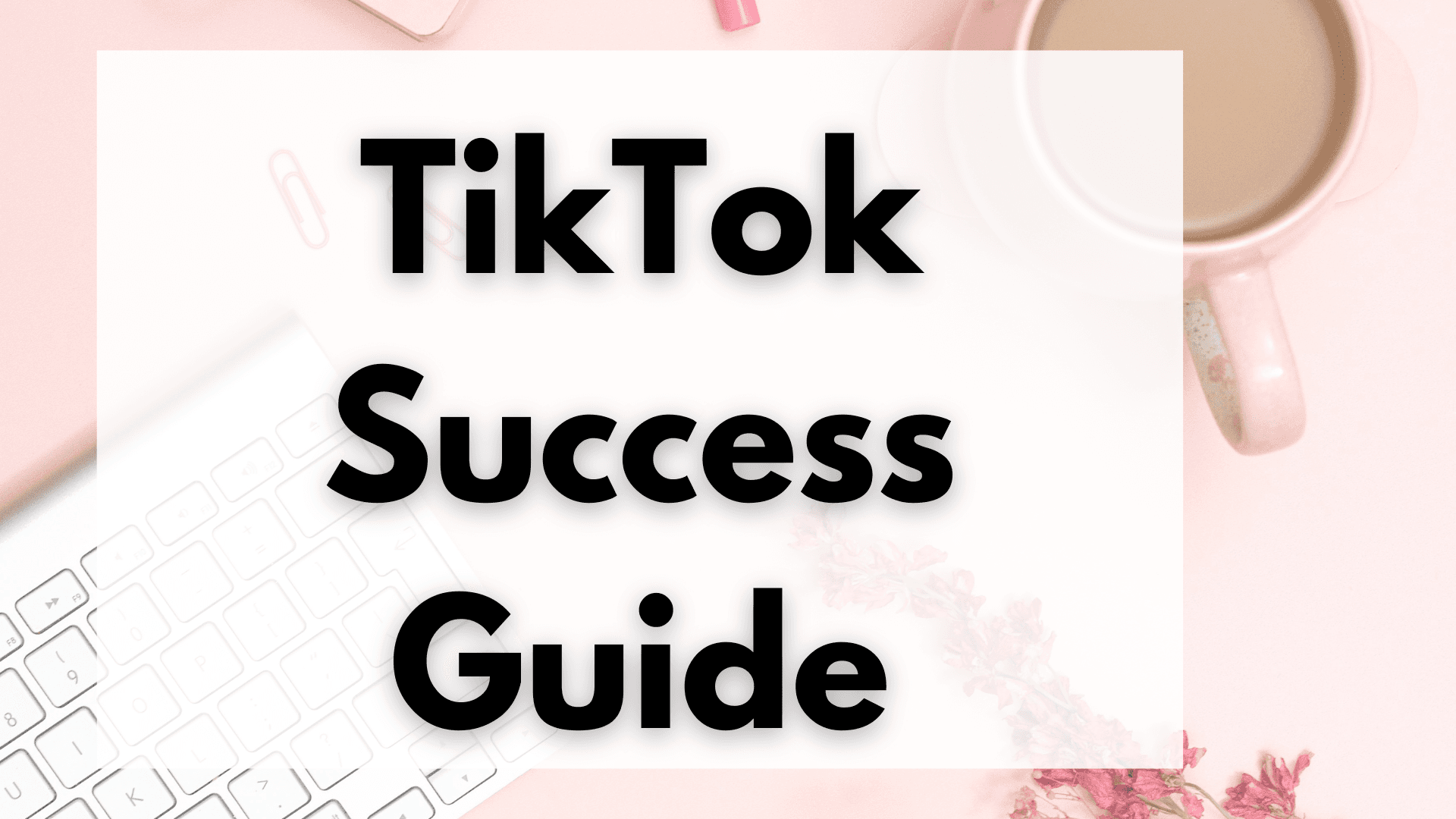 TikTok Success Blueprint
