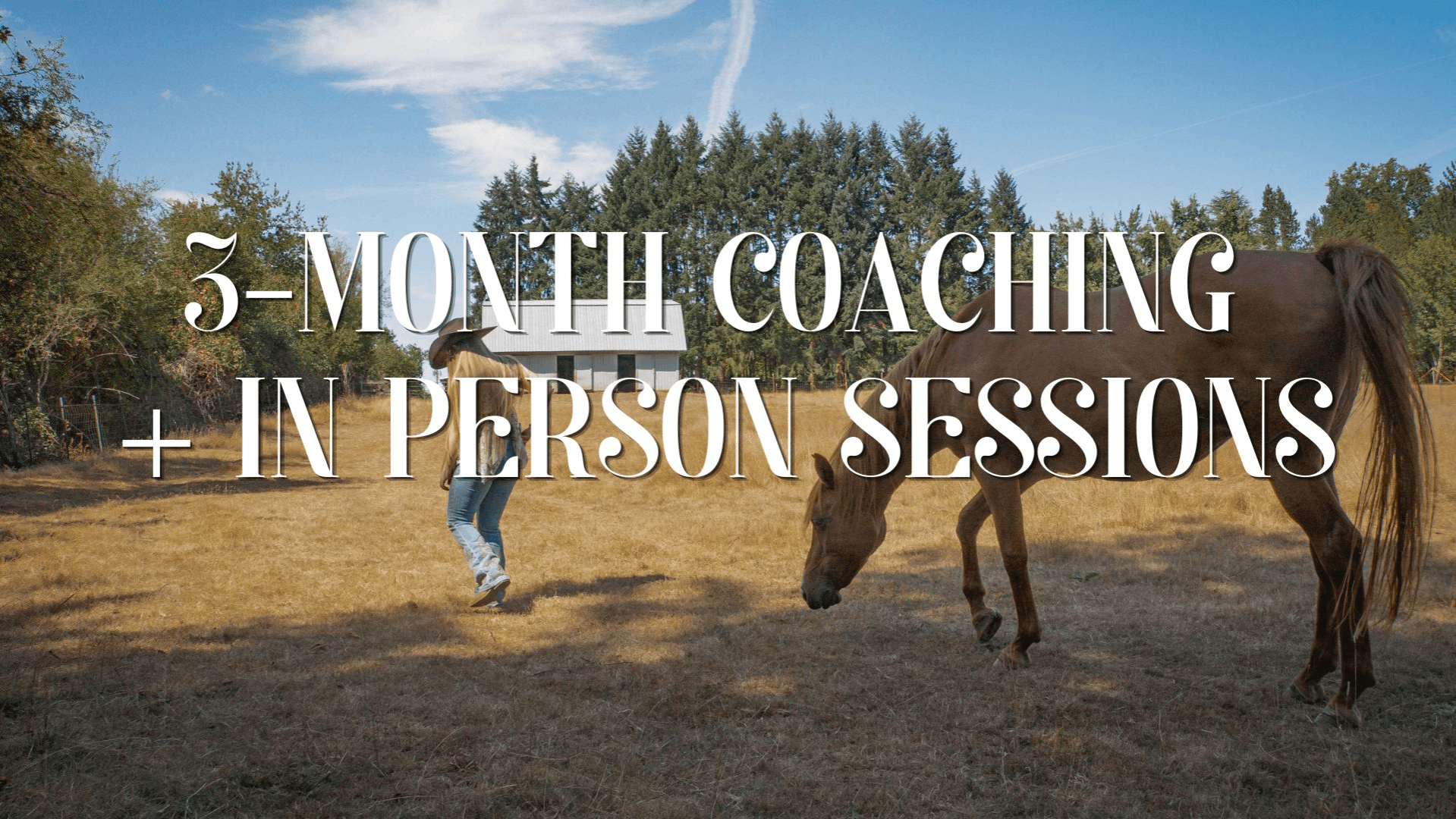 3M Coaching (all in person sessions)