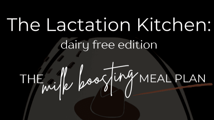 The Lactation Kitchen:          Dairy Free Edition