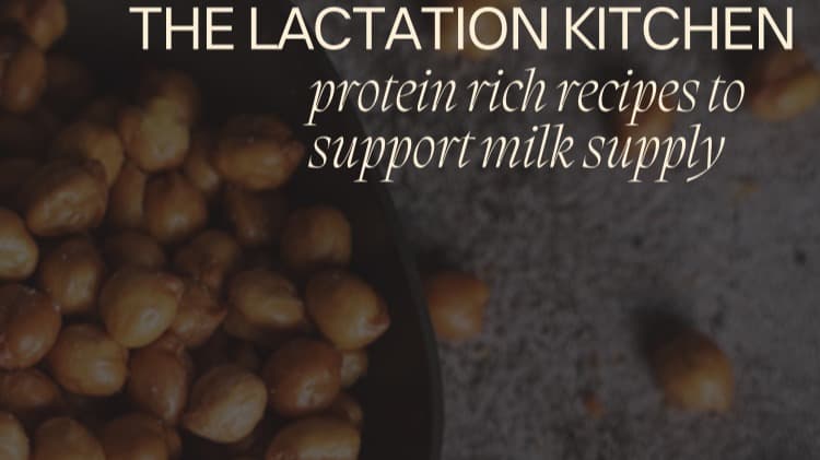 The Lactation Kitchen Cookbook    