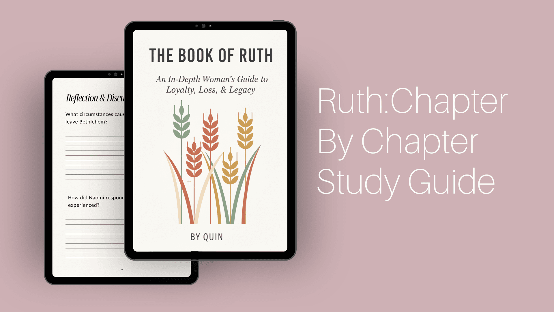Ruth Chapter by Chapter Study Guide