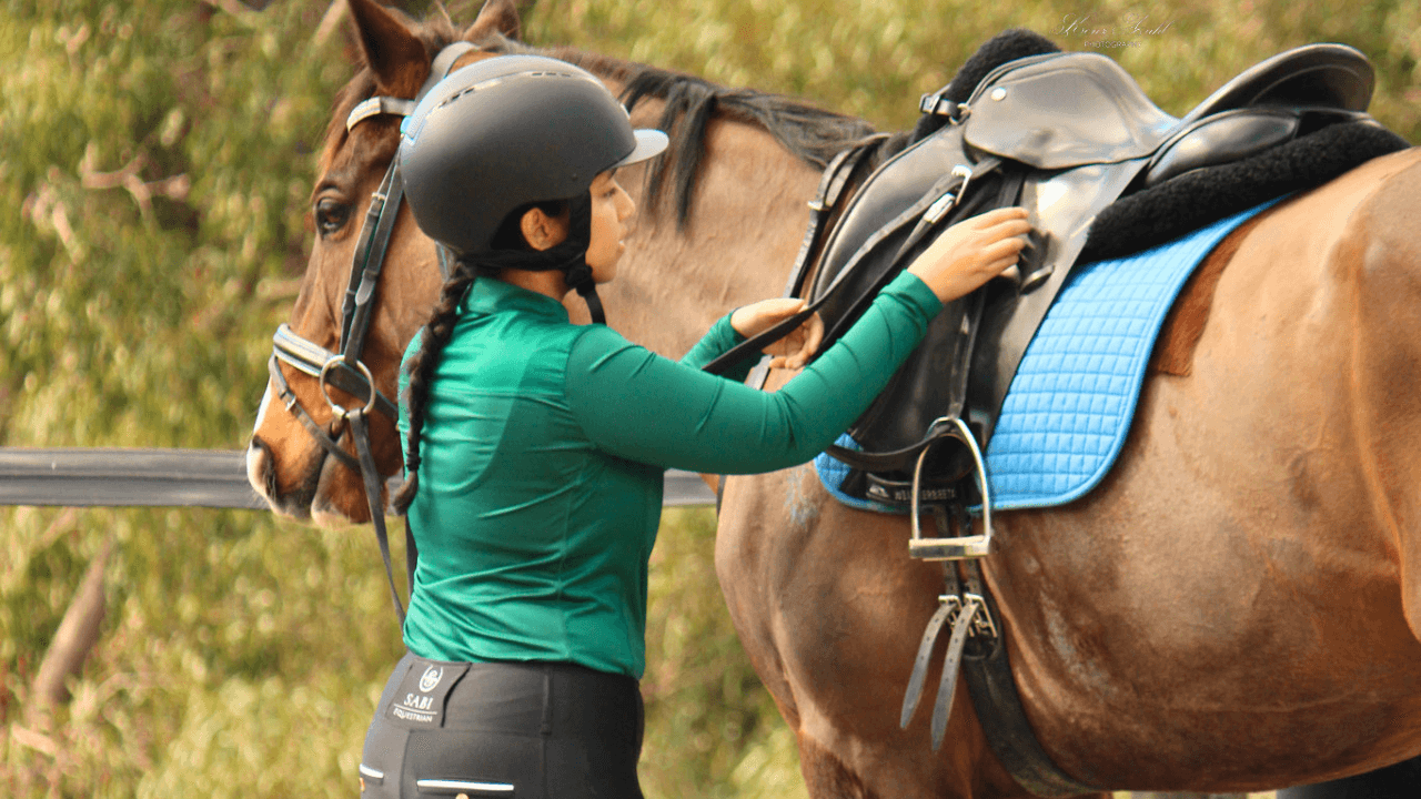 FREE: Horse Care Class