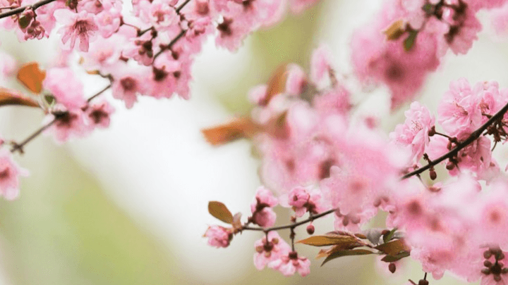 Get My Spot Your Ayurvedic Energy Reference Now!
