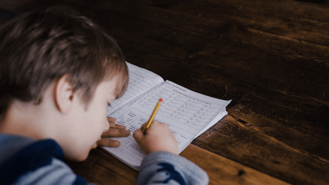 Maths Mastery Program for Primary Students