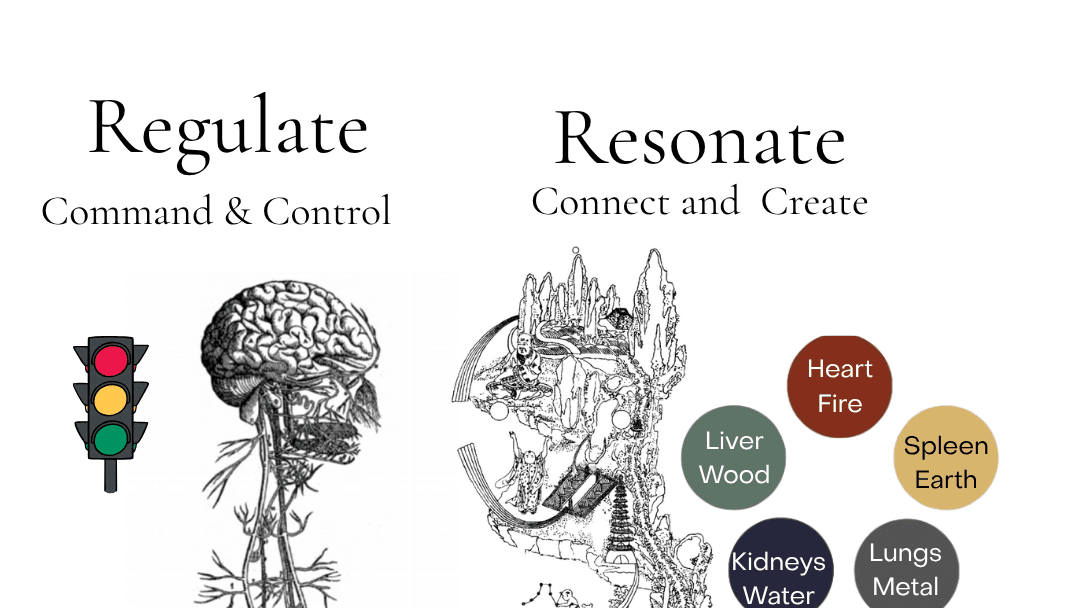 Embodied Alchemy Bundle