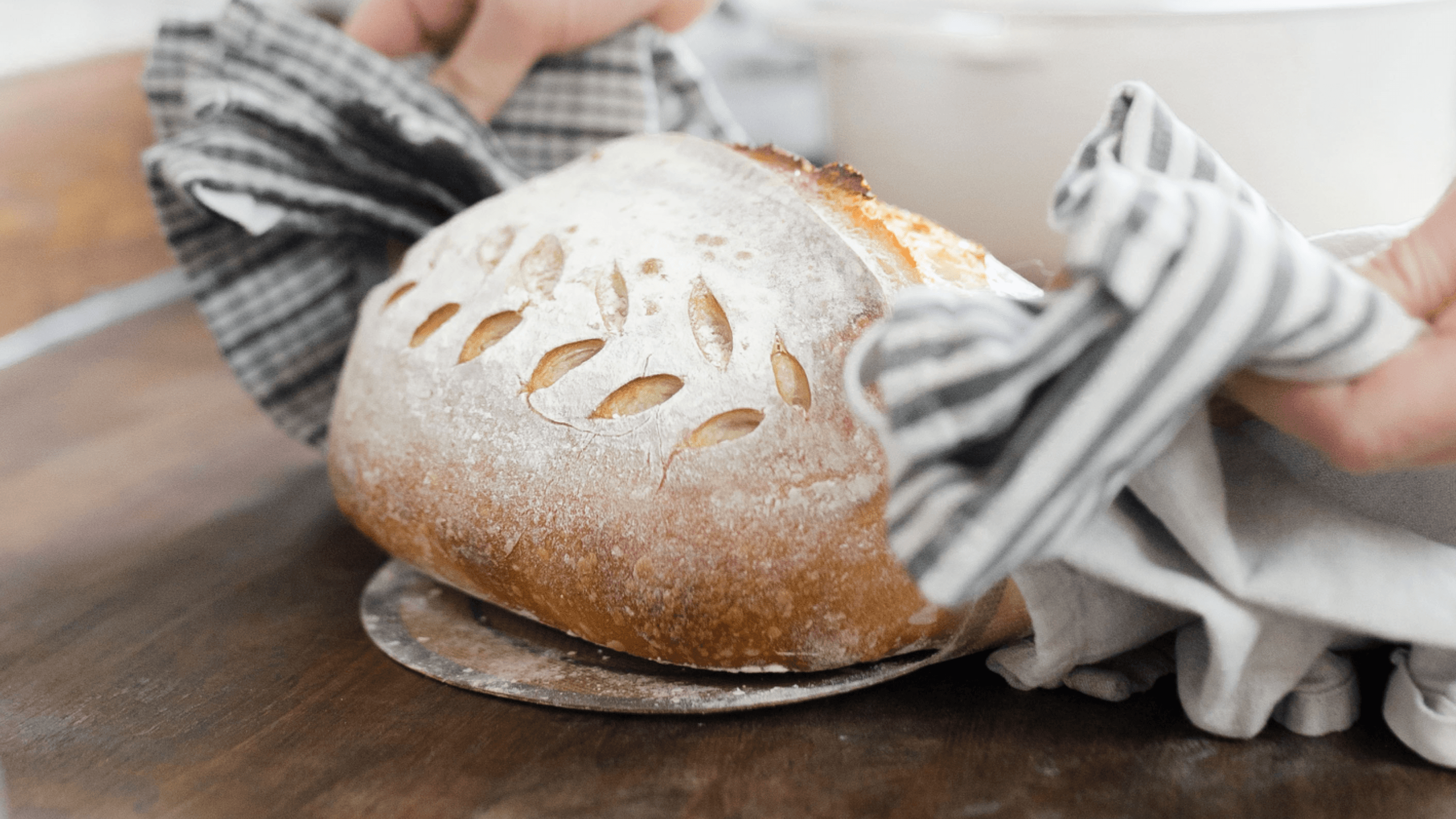 Beginners White Sourdough Recipe 