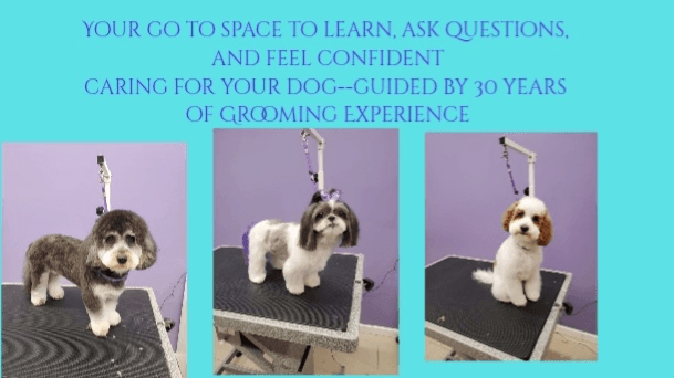 Digital Dog Groomer Community 