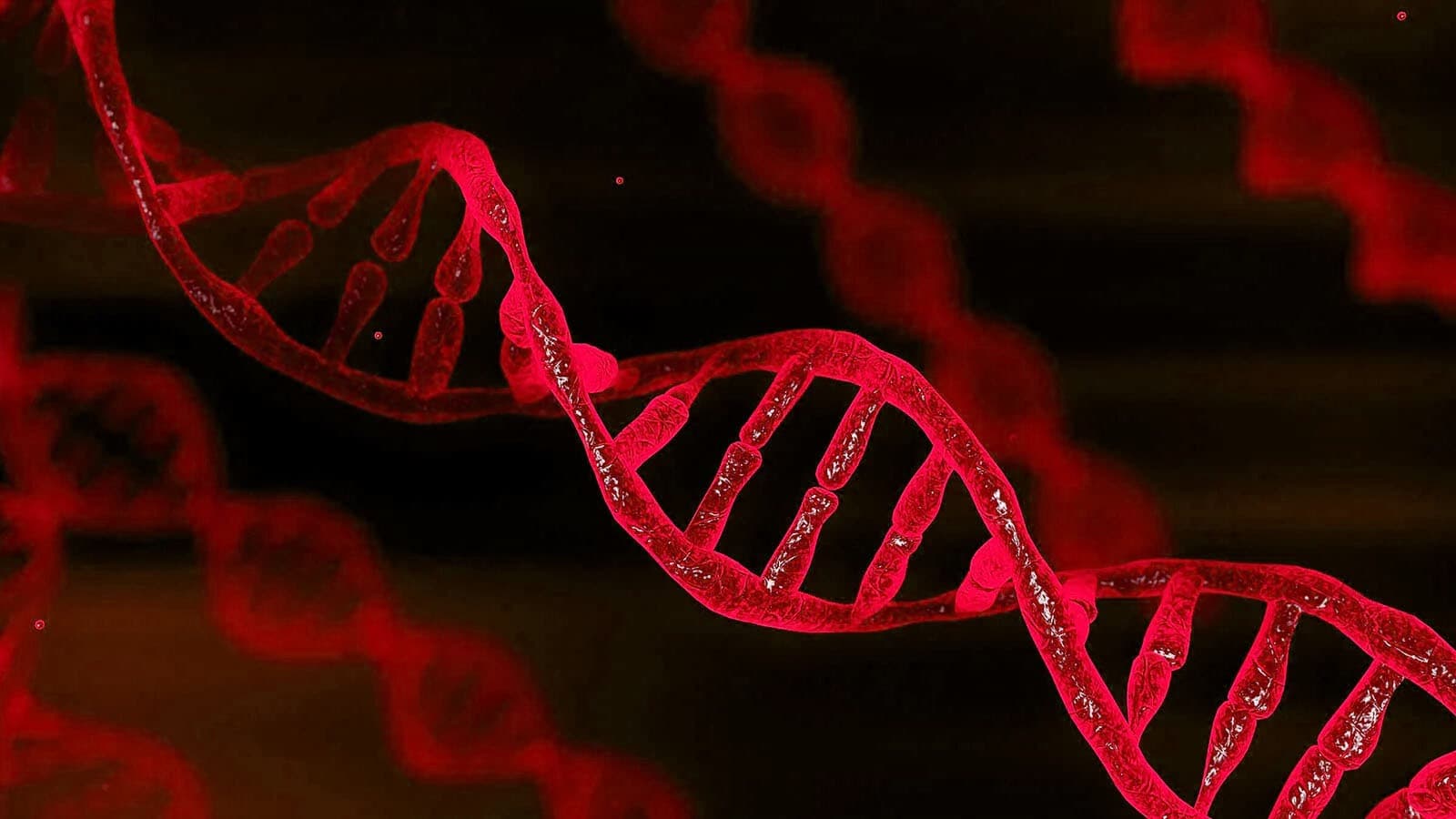 PROPHETIC GENETICS E-BOOK