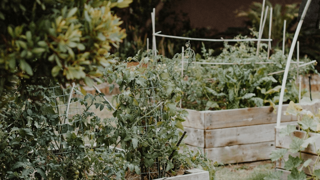Get My Spring Harvest Guide