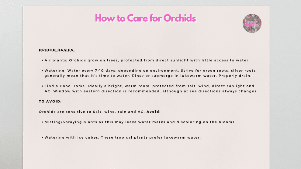 How to (Really) Care for Orchids