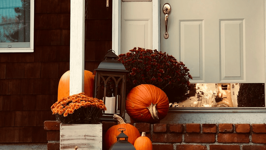 The October Monthly Edit Newsletter