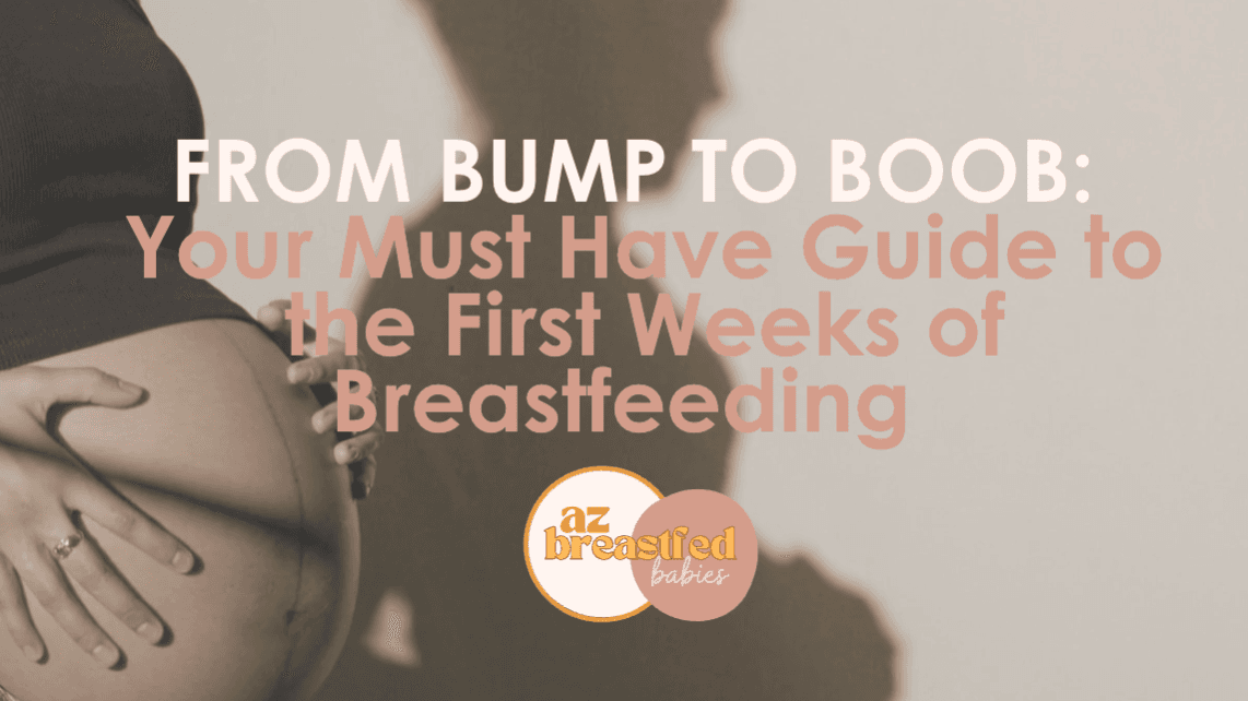 From Bump To Boob: Prenatal Breastfeeding E-Class