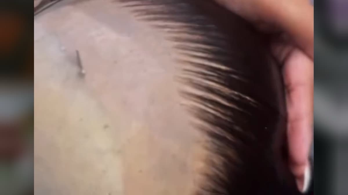 LEARN MY PLUCKING TECHNIQUE NOW!!