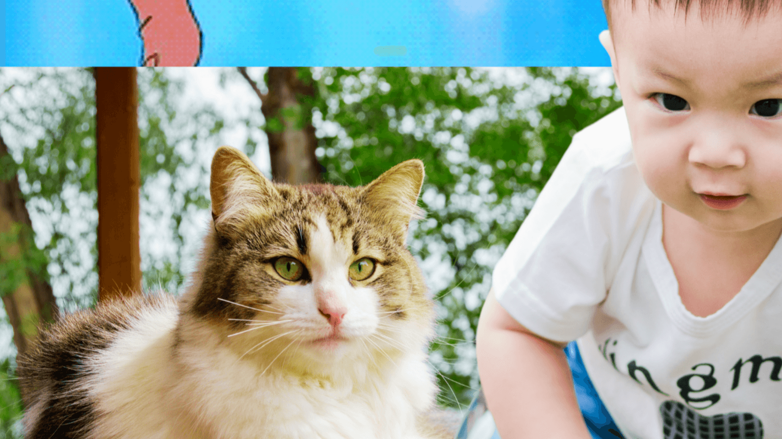 Själsresa#26 Katten och barnet  i morgonsol