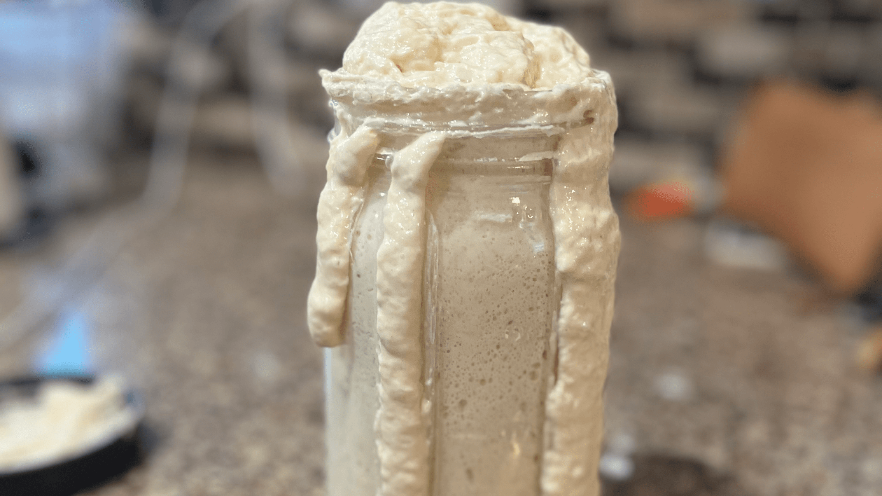 Sourdough Starter 101
