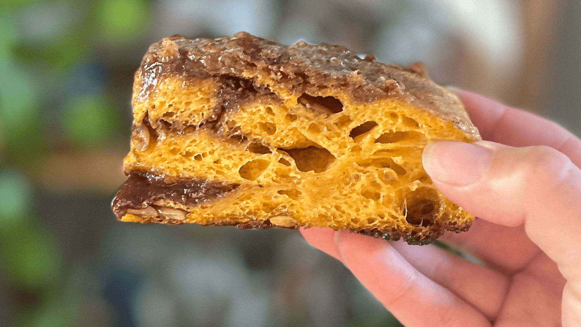 Get My FAVORITE SOURDOUGH PUMPKIN RECIPES Now!