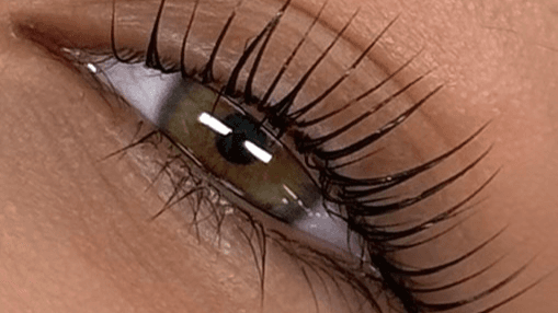 Korean Lash Lift Waitlist 