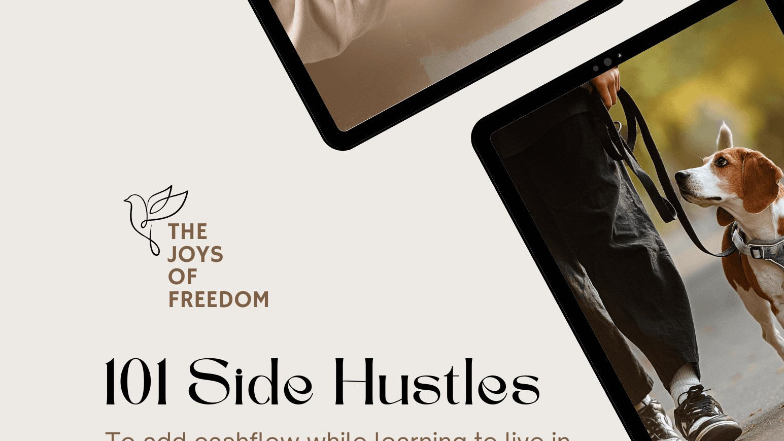 Grab The 106 Side Hustles Ideas Now!