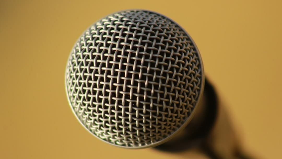  Speaking/Training Services 