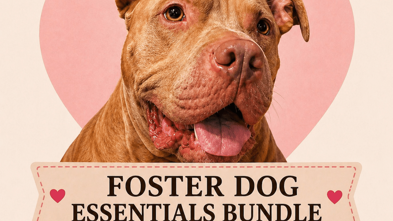Foster Dog Essential Bundle
