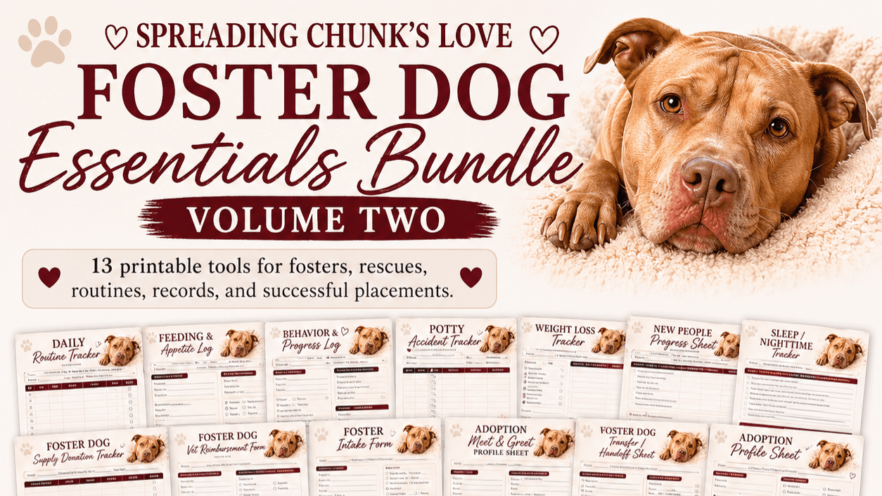 Foster Dog Essentials Bundle Volume 2