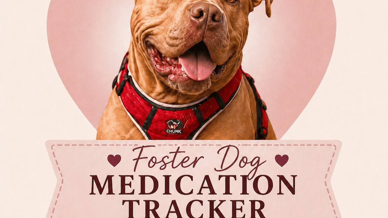 Foster Dog Medication Tracker