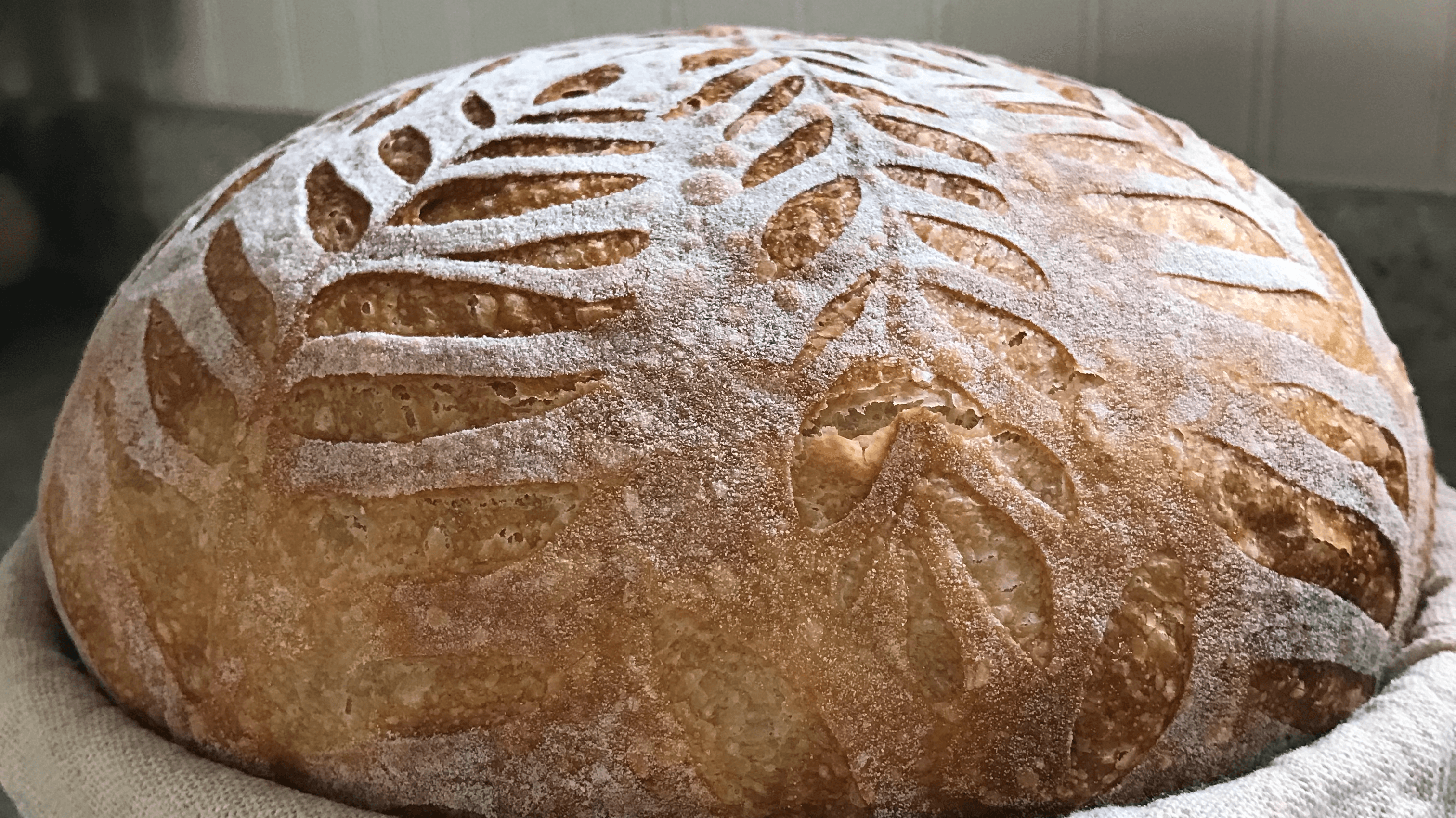 Artisan Sourdough Recipe, Bosch Mixer Method