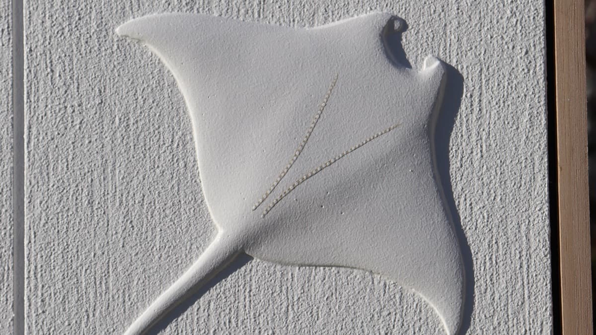 Plaster Manta Ray Guide - New!