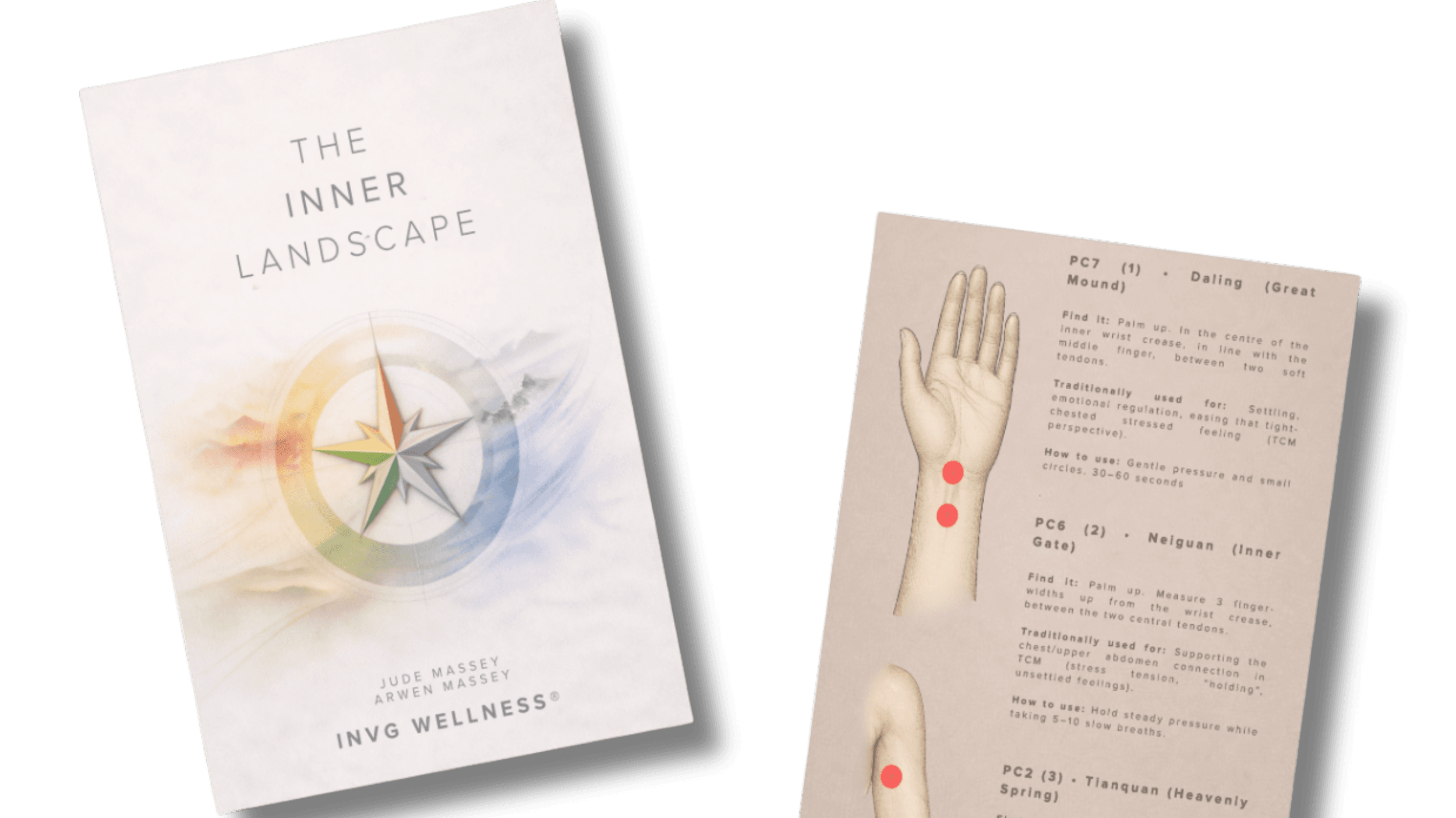 The Inner Landscape: Your Acupressure Companion