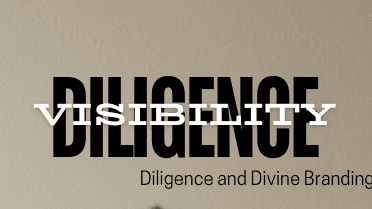 Visibility in Diligence
