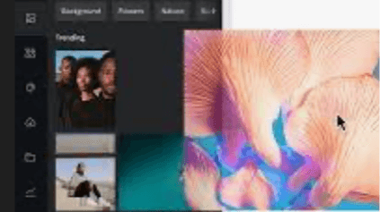 CANVA COURSE