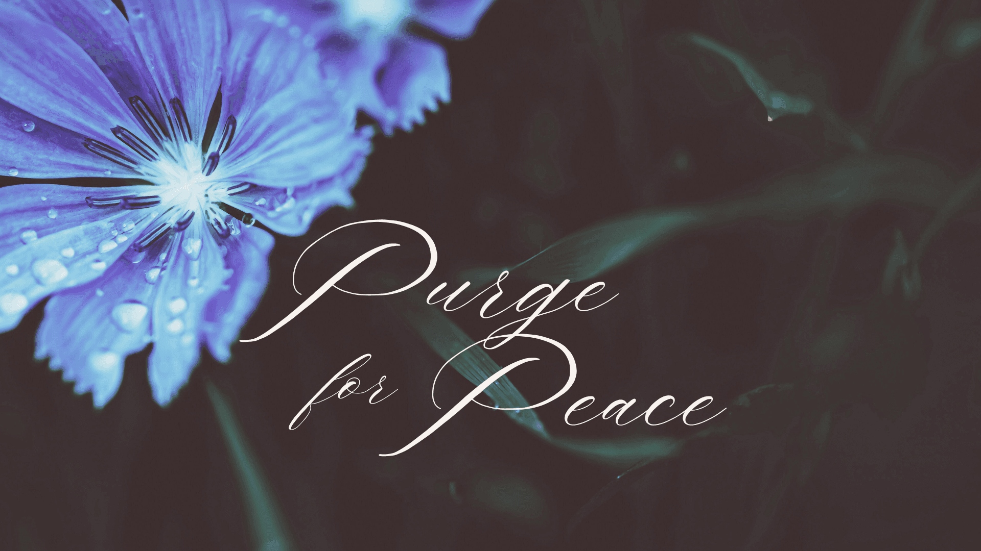 Purge for Peace~ 40 DAY DECLUTTER GUIDE