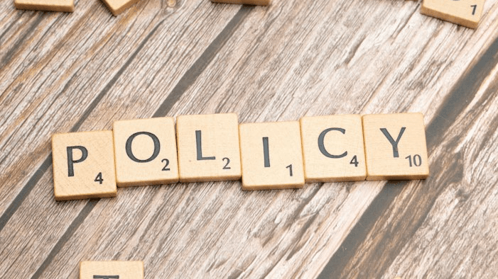 Childminder Policy Review and Editing Service
