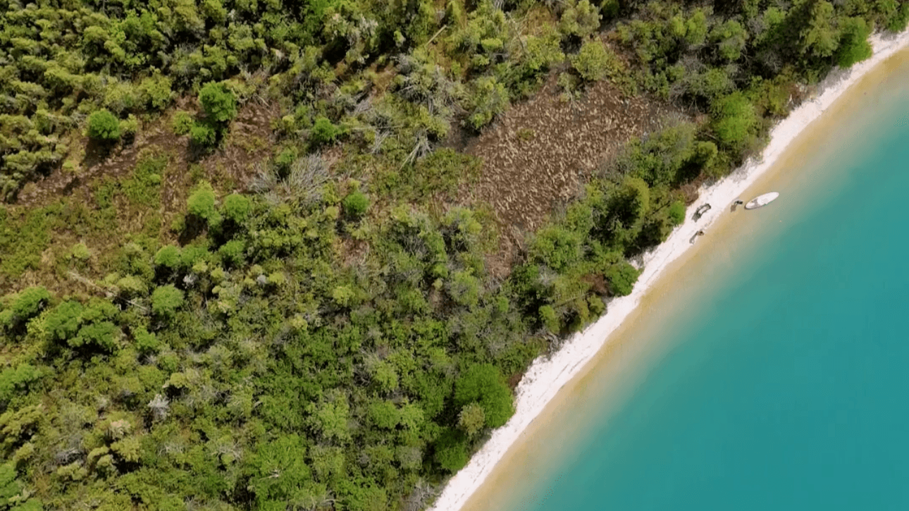 Get our Ultimate Guide to Little Limestone Lake
