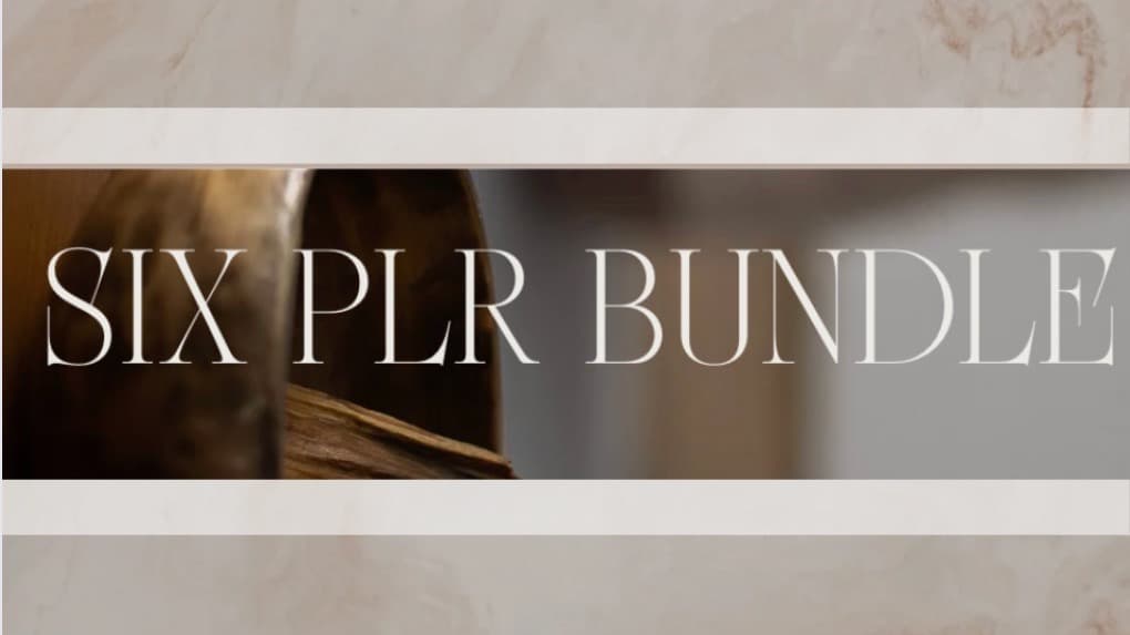 The Six PLR Bundle!