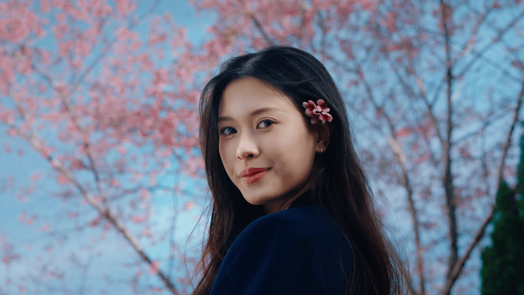 My Artist Color Modular LUTs