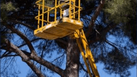 Pruning CEU