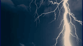 Tree Support and Lightning Protection CEU