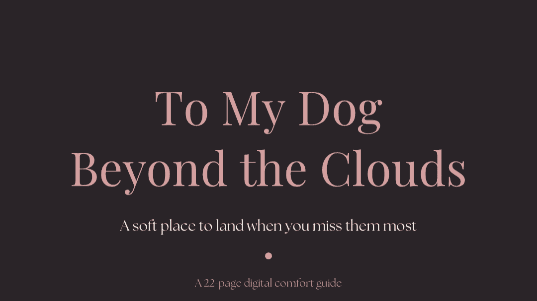 To My Dog Beyond The Clouds 