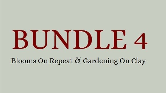 BUNDLE 4 - Blooms On Repeat & Gardening On Clay