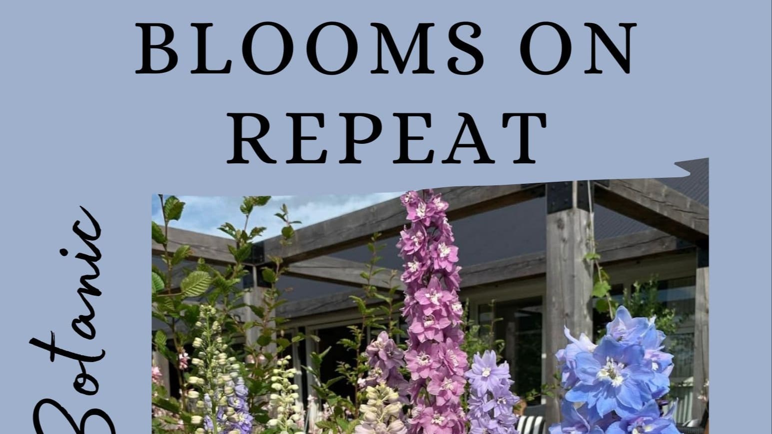 Blooms On Repeat - the quick guide to perennials
