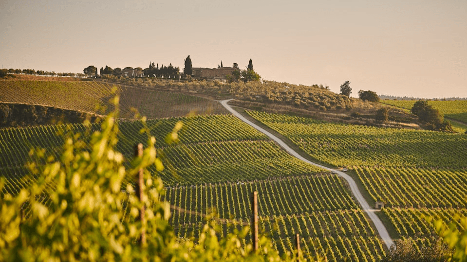A 2026 Tuscany Culinary & Nature Women’s Retreat