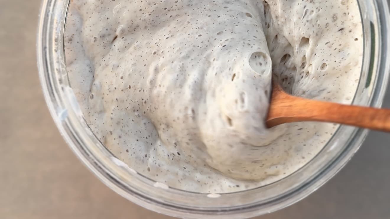 Free Guide - Make your Starter from Scratch