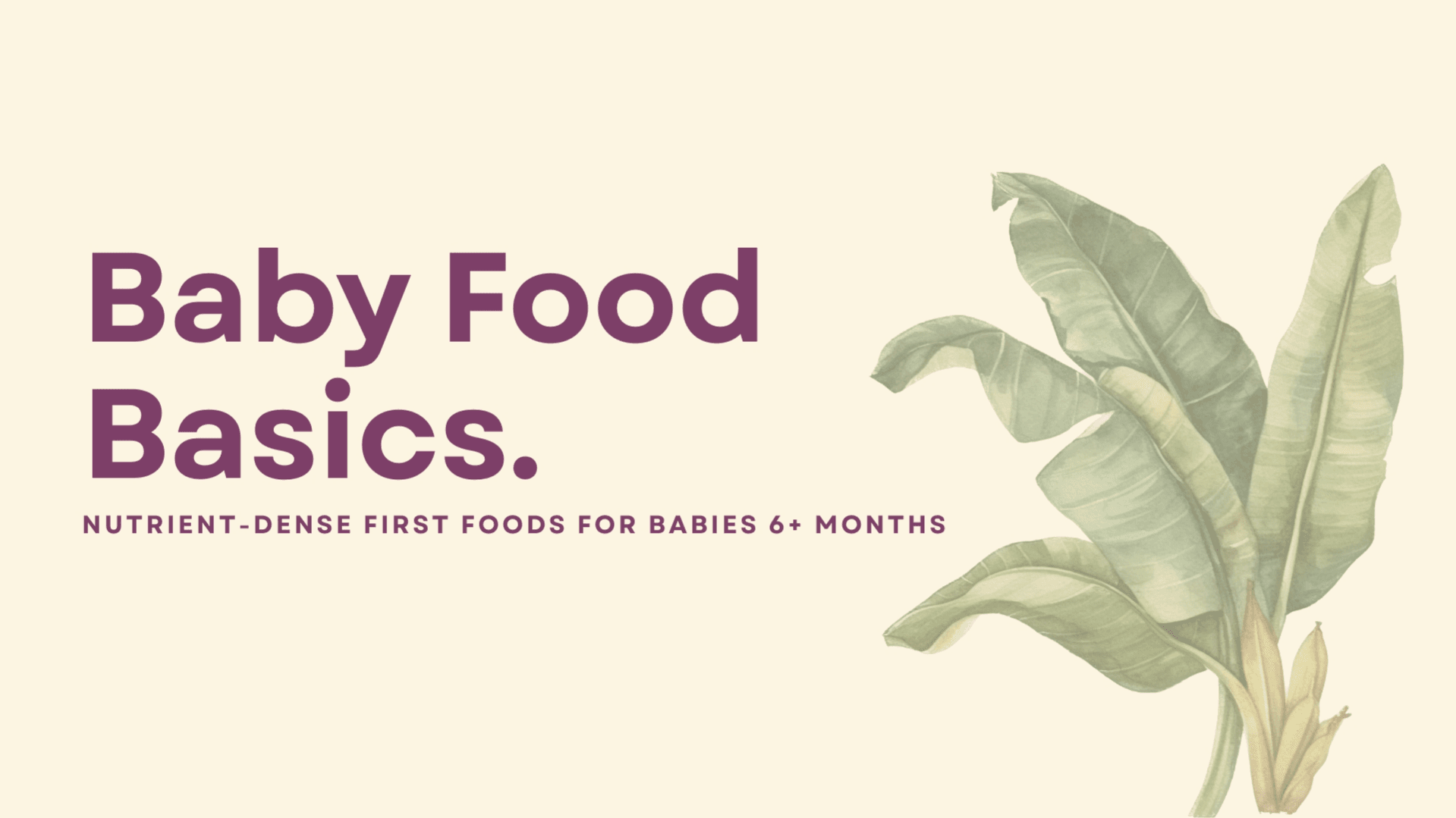 Get Baby Food Basics