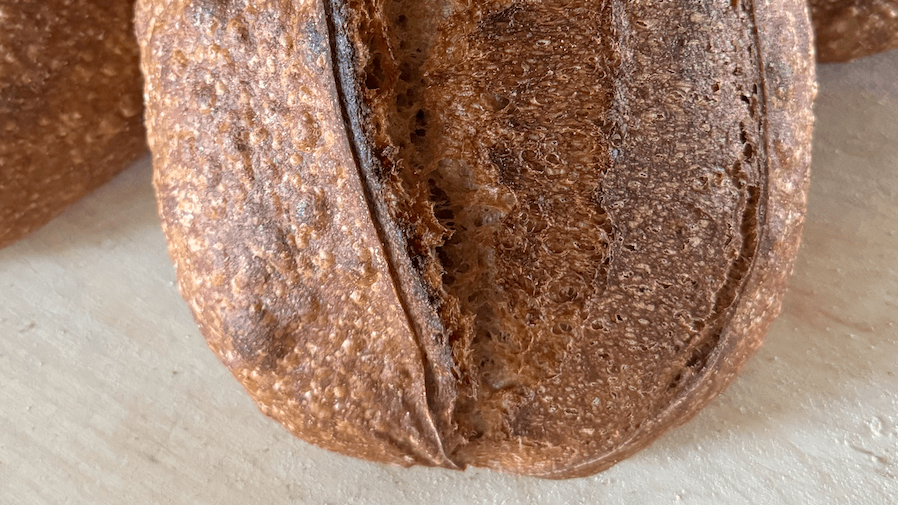 Sourdough Baking for Beginners