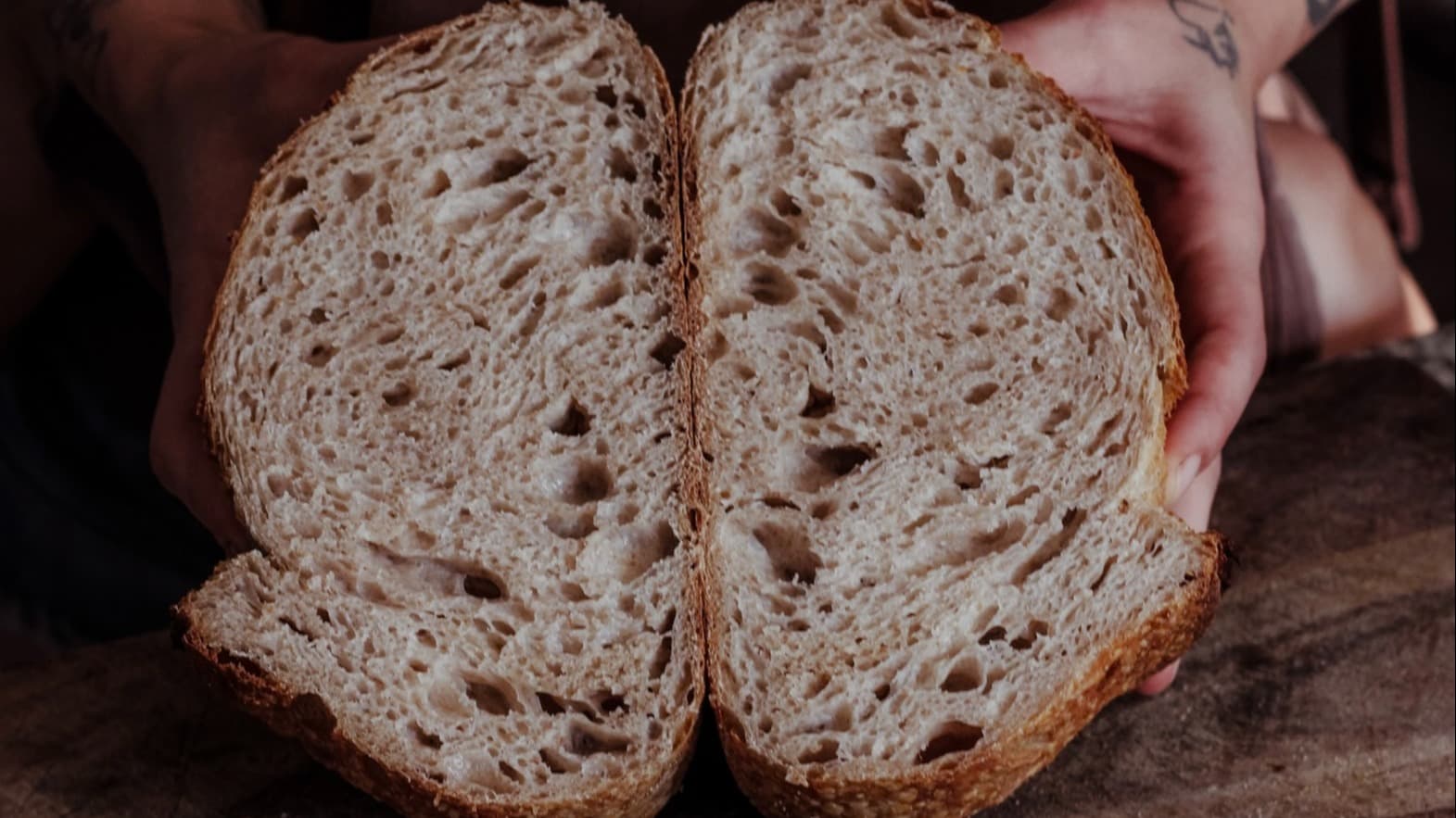 The Sourdough Starter Guide