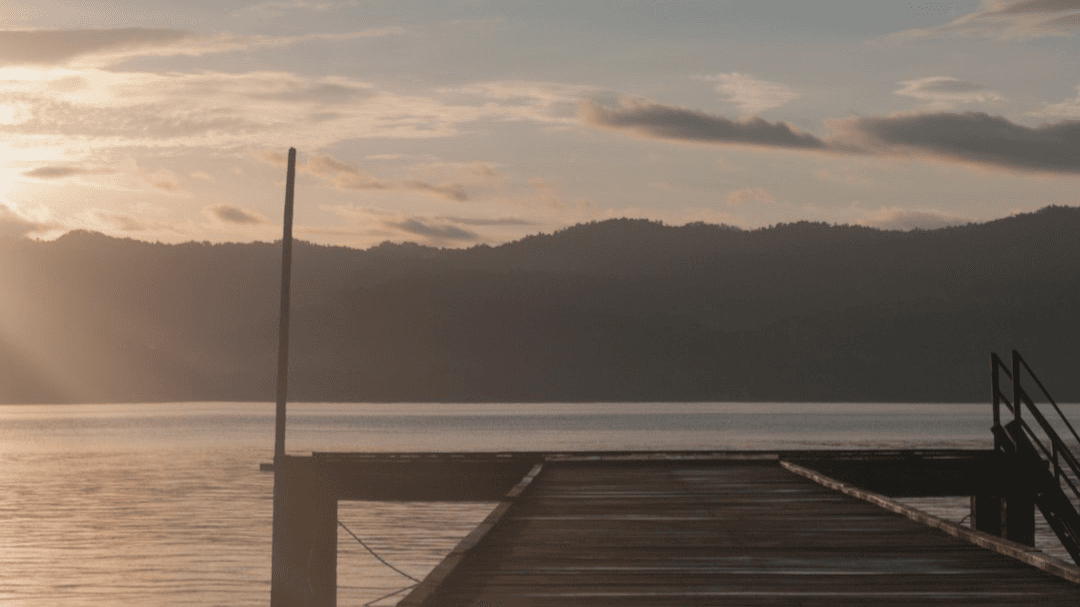 Get My Calmer Days Ahead Wellness Vision Board!